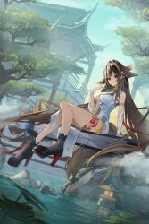 ye shunguang from zenless zone zero