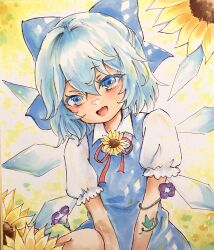 cirno from touhou