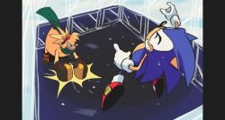 bark the polar bear from sonic (series)