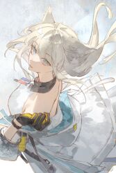 perlica (arknights) from arknights