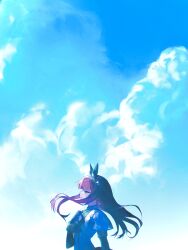 silence suzuka (umamusume) from umamusume