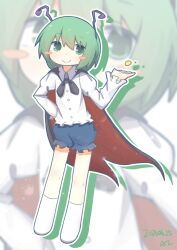 wriggle nightbug from touhou