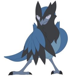 corvisquire from pokemon