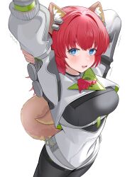 arknights fan art
