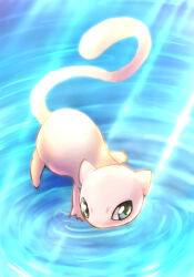 mew (pokemon) from pokemon