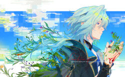 anaxa (honkai: star rail) from honkai: star rail