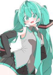 hatsune miku from vocaloid