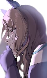 king halo (umamusume) from umamusume