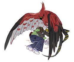 talonflame fan art