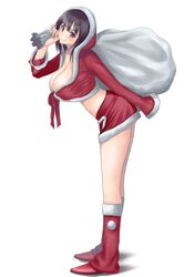 christmas fan art