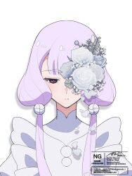 princession orchestra fan art