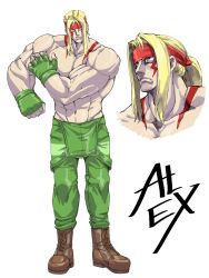 street fighter fan art