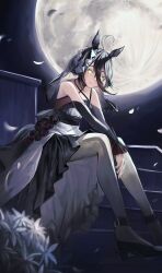 manhattan cafe (umamusume) from umamusume