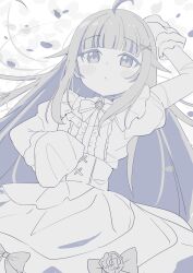 natsuiro matsuri from hololive