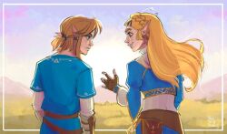 link from the legend of zelda