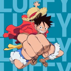 monkey d. luffy from one piece