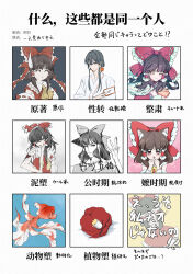 hakurei reimu from embodiment of scarlet devil