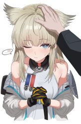 perlica (arknights) from arknights