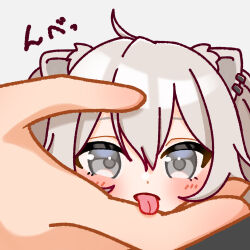 shishiro botan from hololive