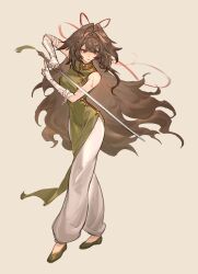 ye shunguang from zenless zone zero