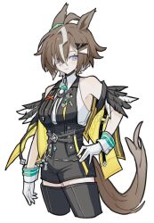 rulership (umamusume) from umamusume