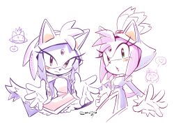 amy rose from sonic (series)