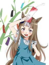 gold ship (umamusume) from umamusume