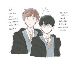 harry potter from harry potter (series)
