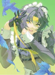 asaba harumasa from zenless zone zero