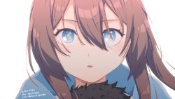 amiya (arknights) from arknights