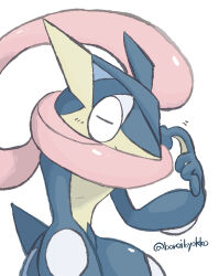 greninja from pokemon