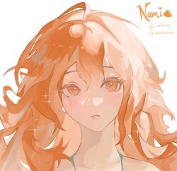 nami (one piece) from one piece
