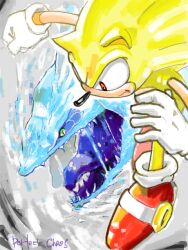 chaos (sonic) from sonic (series) by manaita