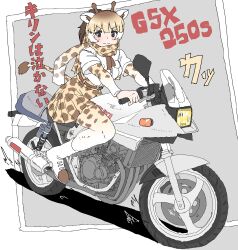 reticulated giraffe (kemono friends) from kemono friends