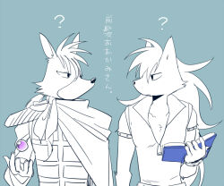 wolfrun from precure