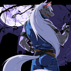wolfrun from precure