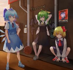 cirno from iosys