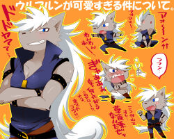 wolfrun from precure