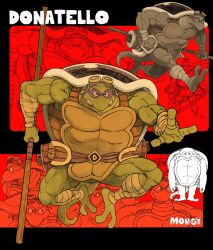 donatello from teenage mutant ninja turtles