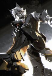 von lycaon from zenless zone zero