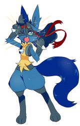 lucario from pokemon