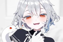 shirona shizuku from neo-porte