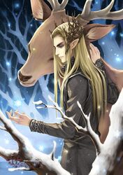 thranduil from the hobbit by kaga