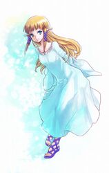 princess zelda from nintendo by kuriko (scarlet sky)