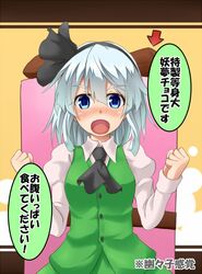 konpaku youmu from touhou by musouzuki