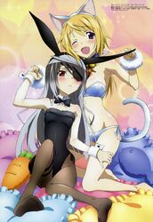 charlotte dunois from infinite stratos by kondou natsuko