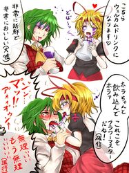 kazami yuuka from touhou by ryuuichi (f dragon)