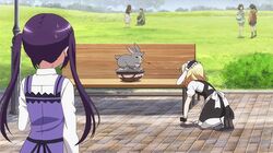 kirima sharo from gochuumon wa usagi desuka?