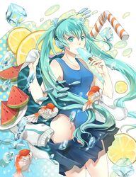 hatsune miku from vocaloid