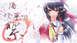 hakurei reimu from touhou by 45 (diagonal45angle)